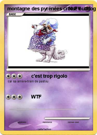 Pokemon montagne des pyrénées croisé bulldog anglais