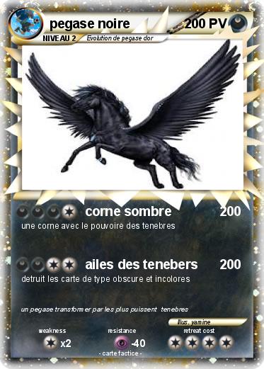 Pokemon pegase noire