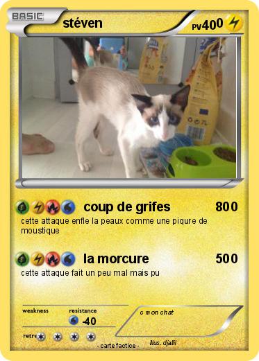 Pokemon stéven                                0