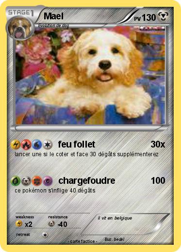 Pokemon Mael