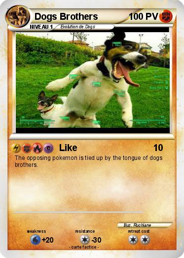 Pokemon Dogs Brothers