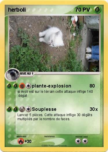 Pokemon herboli