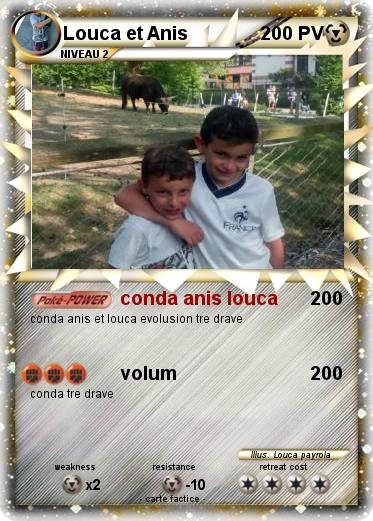 Pokemon Louca et Anis