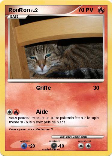 Pokemon RonRon