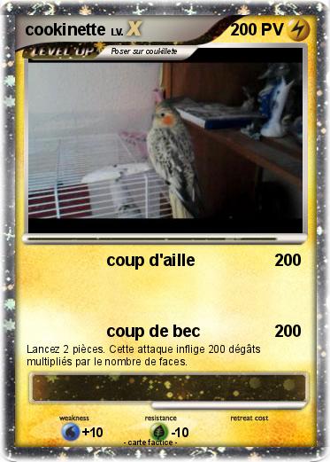Pokemon cookinette