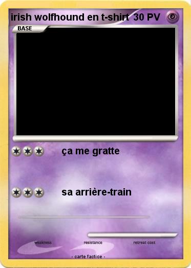 Pokemon irish wolfhound en t-shirt