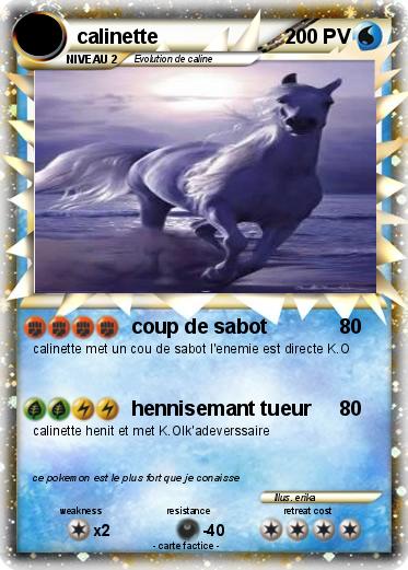 Pokemon calinette