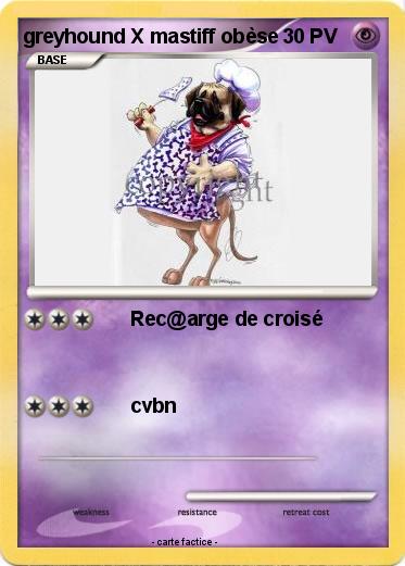 Pokemon greyhound X mastiff obèse