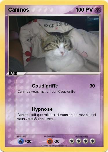 Pokemon Caninos