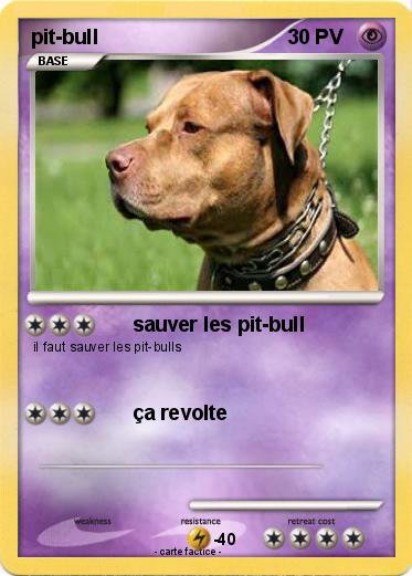 Pokemon pit-bull