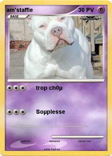 Pokemon am'staffie