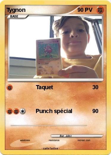 Pokemon Tygnon