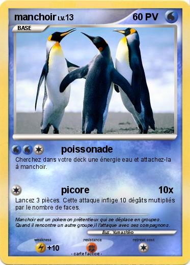 Pokemon manchoir