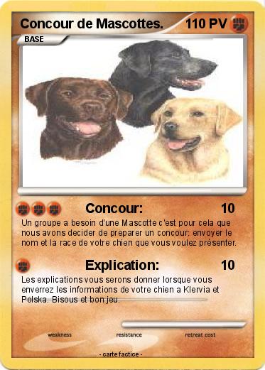 Pokemon Concour de Mascottes.