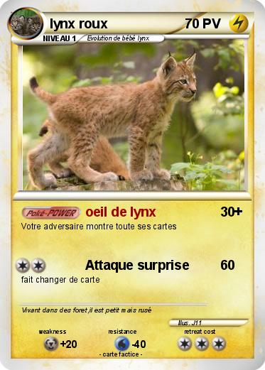 Pokemon lynx roux