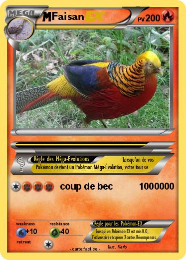 Pokemon Faisan
