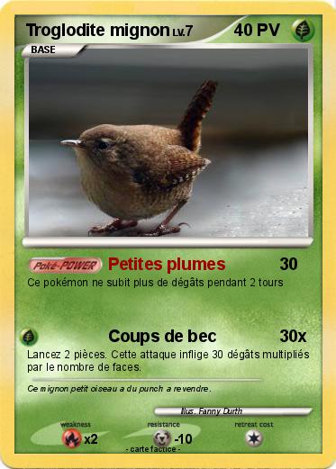 Pokemon Troglodite mignon