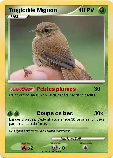Pokemon Troglodite Mignon
