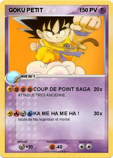 Pokemon GOKU PETIT