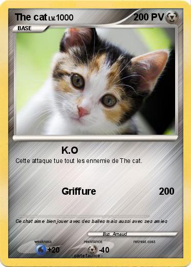 Pokemon The cat