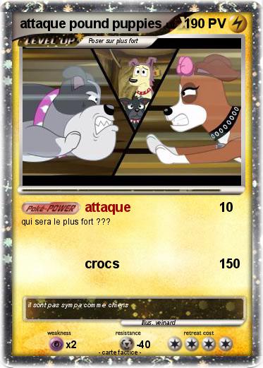 Pokemon attaque pound puppies