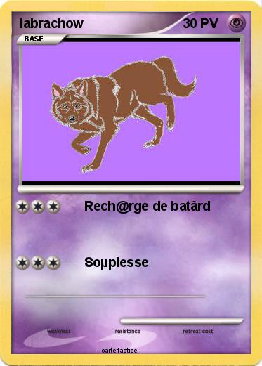 Pokemon labrachow
