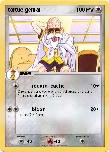 Pokemon tortue genial 