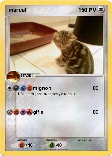 Pokemon marcel          