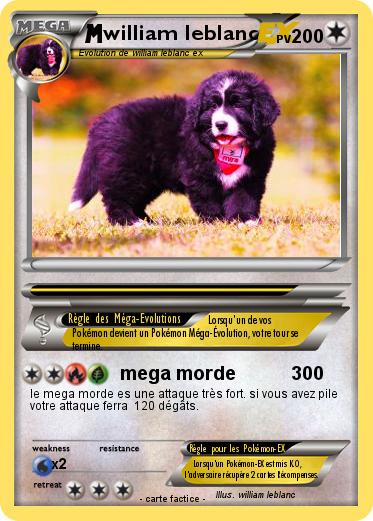 Pokemon william leblanc
