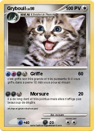 Pokemon Grybouil