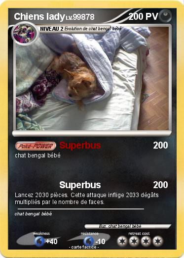 Pokemon Chiens lady