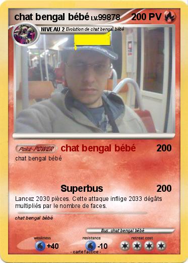 Pokemon chat bengal bébé