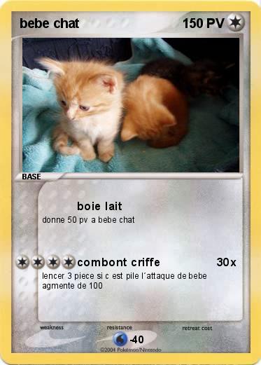 Pokemon bebe chat