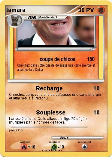 Pokemon tamara