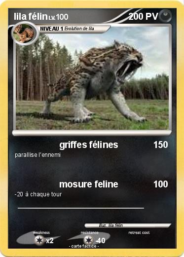 Pokemon lila félin