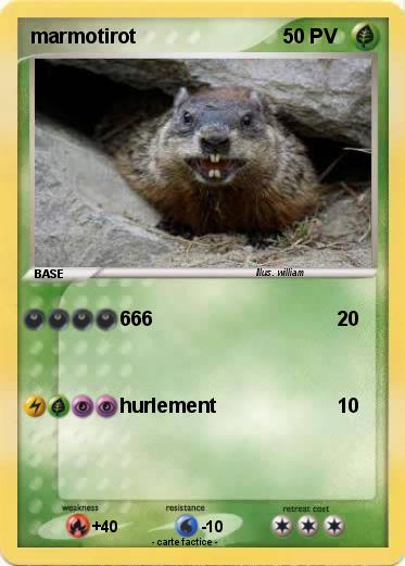Pokemon marmotirot