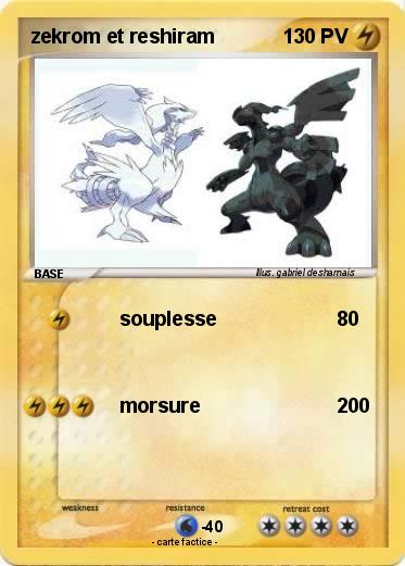 Pokemon zekrom et reshiram
