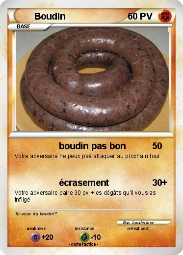 Pokemon Boudin