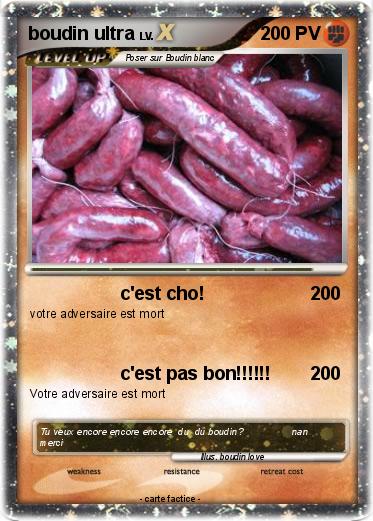 Pokemon boudin ultra