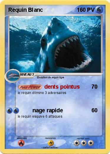 Pokemon Requin Blanc