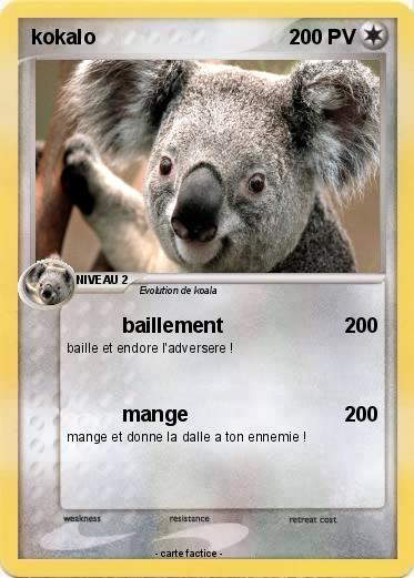Pokemon kokalo