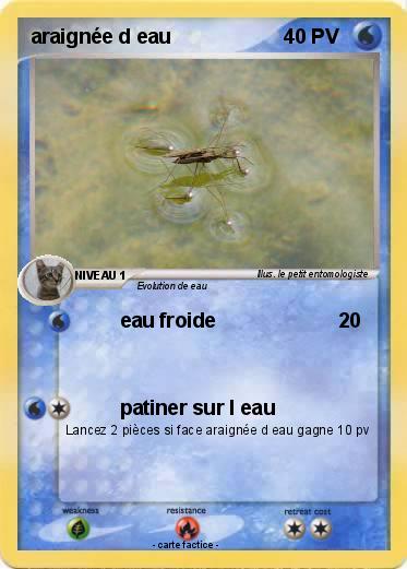 Pokemon araignée d eau