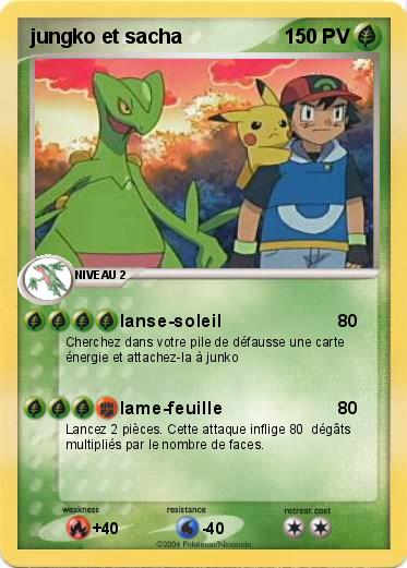 Pokemon jungko et sacha 