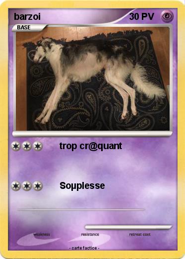 Pokemon barzoi