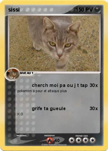 Pokemon sissi