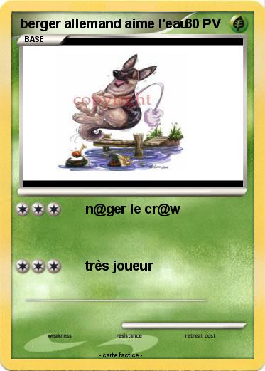 Pokemon berger allemand aime l'eau