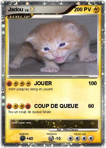 Pokemon Jadou