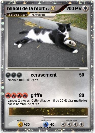Pokemon miaou de la mort
