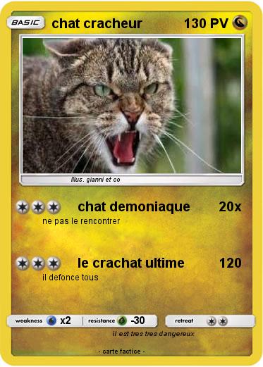 Pokemon chat cracheur