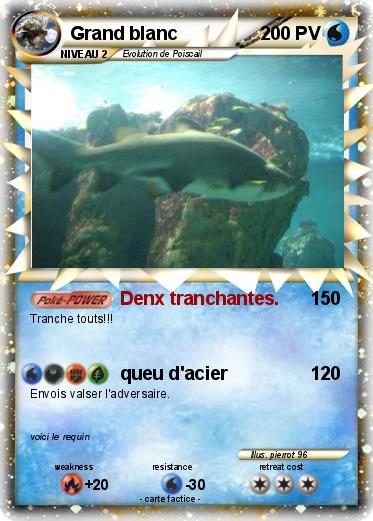 Pokemon Grand blanc
